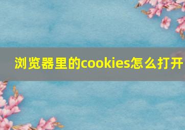 浏览器里的cookies怎么打开