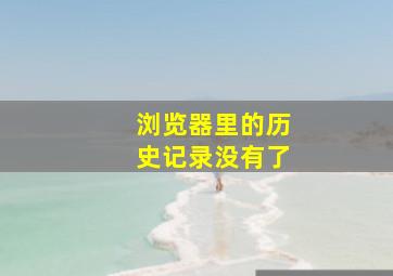 浏览器里的历史记录没有了