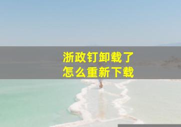 浙政钉卸载了怎么重新下载