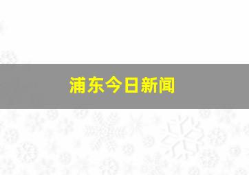 浦东今日新闻