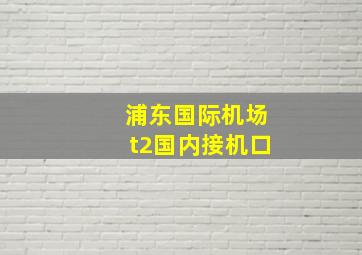 浦东国际机场t2国内接机口