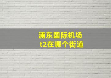 浦东国际机场t2在哪个街道