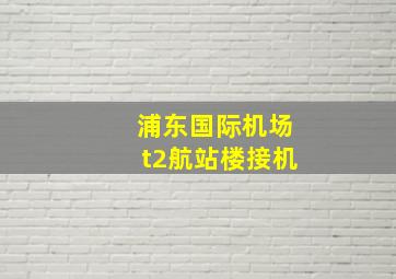 浦东国际机场t2航站楼接机