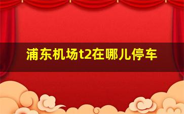 浦东机场t2在哪儿停车