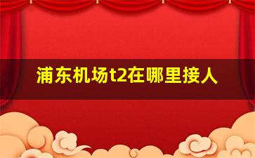 浦东机场t2在哪里接人