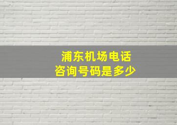 浦东机场电话咨询号码是多少