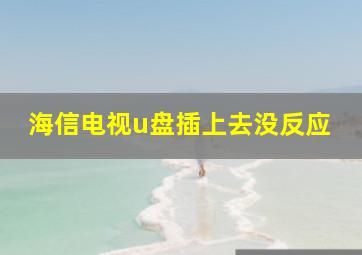 海信电视u盘插上去没反应