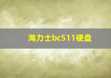 海力士bc511硬盘