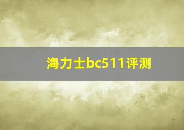 海力士bc511评测