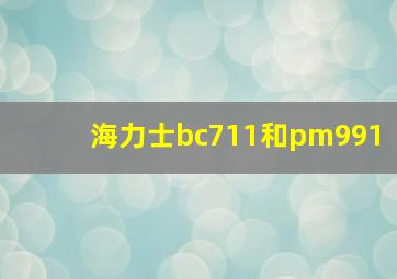 海力士bc711和pm991