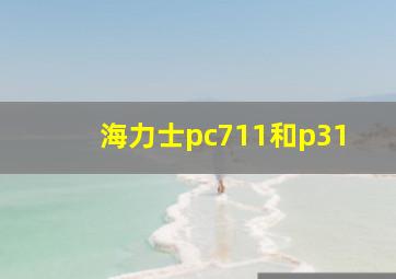 海力士pc711和p31