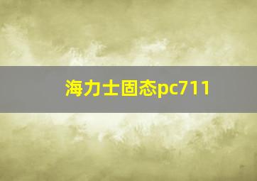 海力士固态pc711