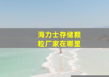 海力士存储颗粒厂家在哪里