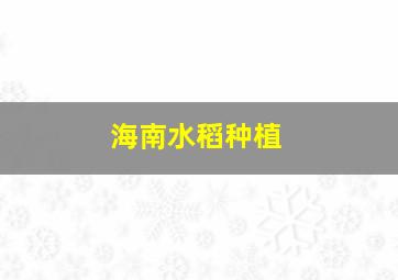 海南水稻种植