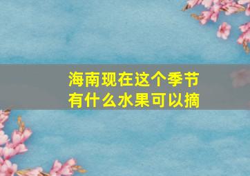 海南现在这个季节有什么水果可以摘