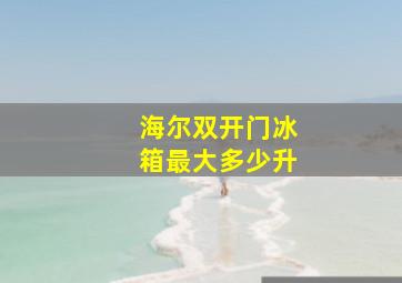 海尔双开门冰箱最大多少升