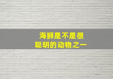 海狮是不是很聪明的动物之一