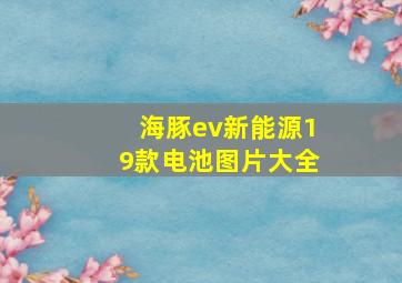 海豚ev新能源19款电池图片大全