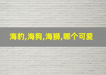 海豹,海狗,海狮,哪个可爱