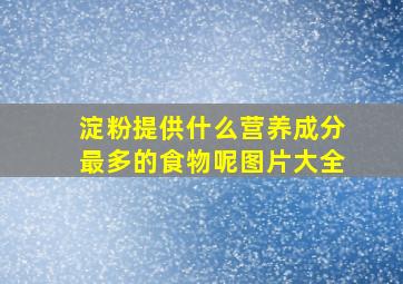 淀粉提供什么营养成分最多的食物呢图片大全