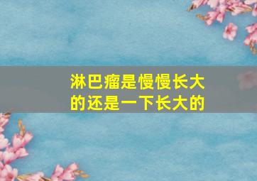 淋巴瘤是慢慢长大的还是一下长大的