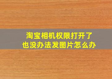 淘宝相机权限打开了也没办法发图片怎么办