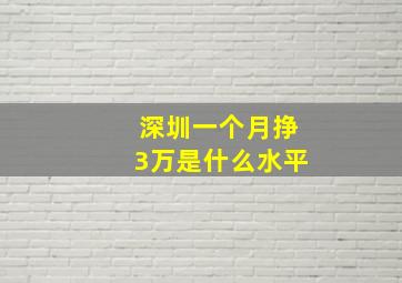 深圳一个月挣3万是什么水平