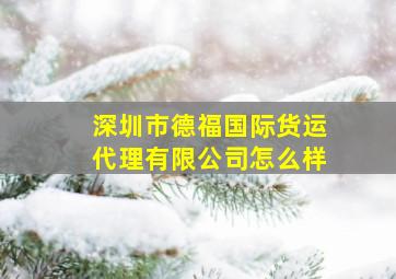 深圳市德福国际货运代理有限公司怎么样