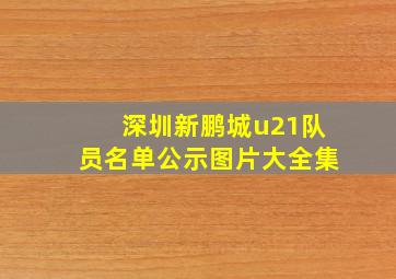 深圳新鹏城u21队员名单公示图片大全集