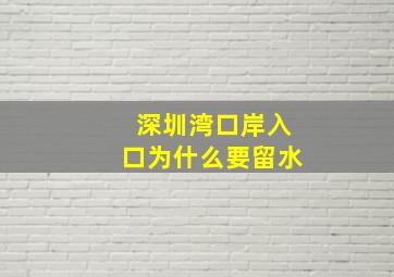 深圳湾口岸入口为什么要留水