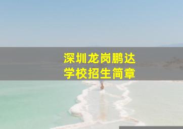 深圳龙岗鹏达学校招生简章