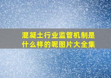 混凝土行业监管机制是什么样的呢图片大全集