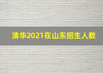 清华2021在山东招生人数