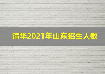 清华2021年山东招生人数