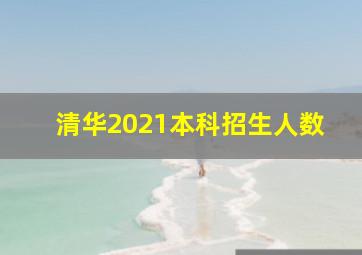 清华2021本科招生人数