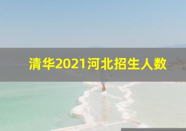 清华2021河北招生人数