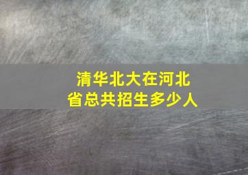 清华北大在河北省总共招生多少人