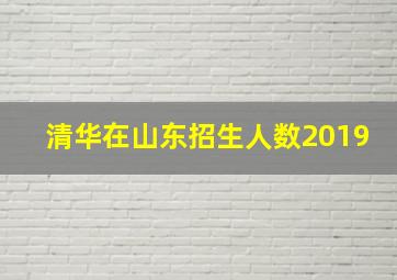 清华在山东招生人数2019