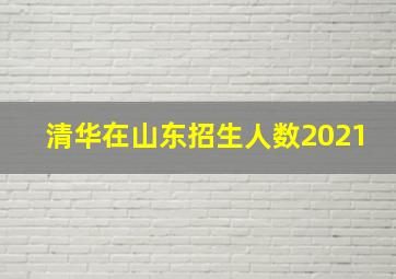 清华在山东招生人数2021