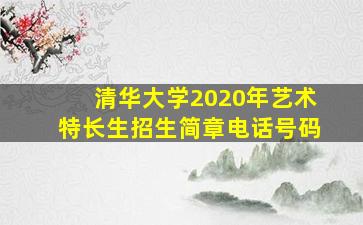 清华大学2020年艺术特长生招生简章电话号码