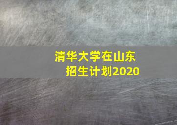 清华大学在山东招生计划2020