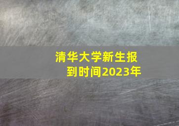 清华大学新生报到时间2023年