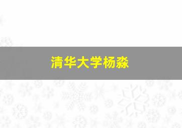 清华大学杨淼