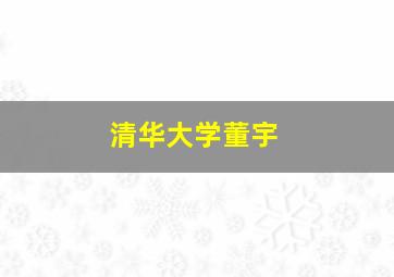 清华大学董宇