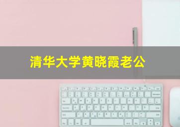 清华大学黄晓霞老公