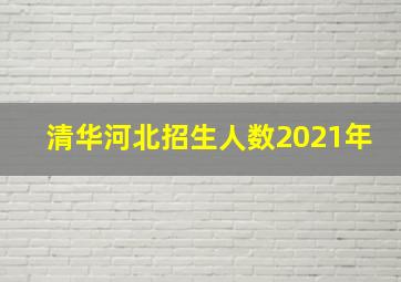 清华河北招生人数2021年