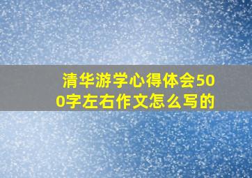 清华游学心得体会500字左右作文怎么写的