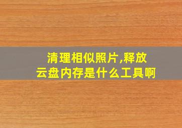 清理相似照片,释放云盘内存是什么工具啊