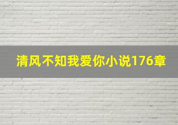 清风不知我爱你小说176章