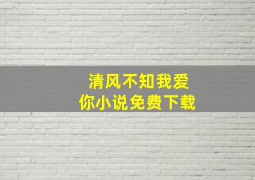 清风不知我爱你小说免费下载